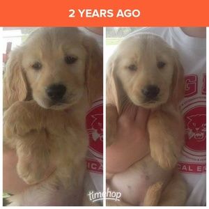 Meet your Posher, Dawn